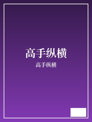 高手纵横 高手纵横 TXT全文 全本连载