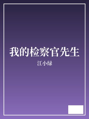 我的检察官先生 江小绿 TXT全文 全本完结