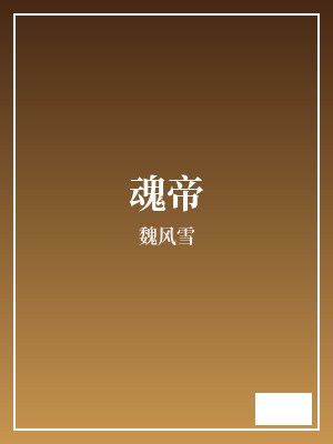魂帝 魏风雪 TXT全文 全本完结