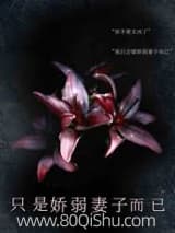只是娇弱妻子而已 川又青 TXT全文 全本连载
