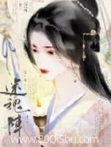 迷魂阵 锦葵紫 TXT全文 全本连载