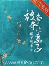 被争夺的妻子 瓜子和茶 TXT全文 全本连载