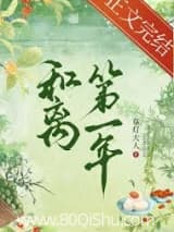 和离第一年 草灯大人 TXT全文 全本连载