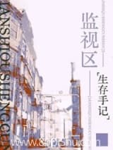 监视区生存手记[战时] 栖青 TXT全文 全本连载