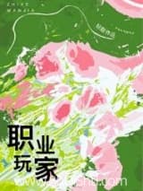 职业玩家 轻黯 TXT全文 全本连载