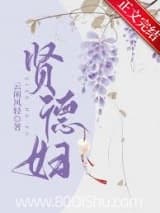 贤德妇 云闲风轻 TXT全文 全本连载