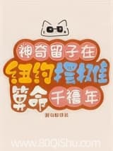 神奇留子在纽约摆摊算命[千禧年] 谢仙鲜 TXT全文 全本连载