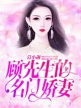 顾先生的名门娇妻 暮小靓 TXT全文 全本连载