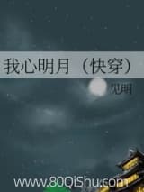 我心明月(快穿) 见明 TXT全文 全本连载