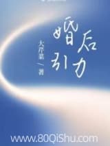 婚后引力 大芹菜 TXT全文 全本连载