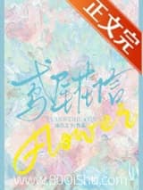 鸢尾花信 南方之下 TXT全文 全本连载